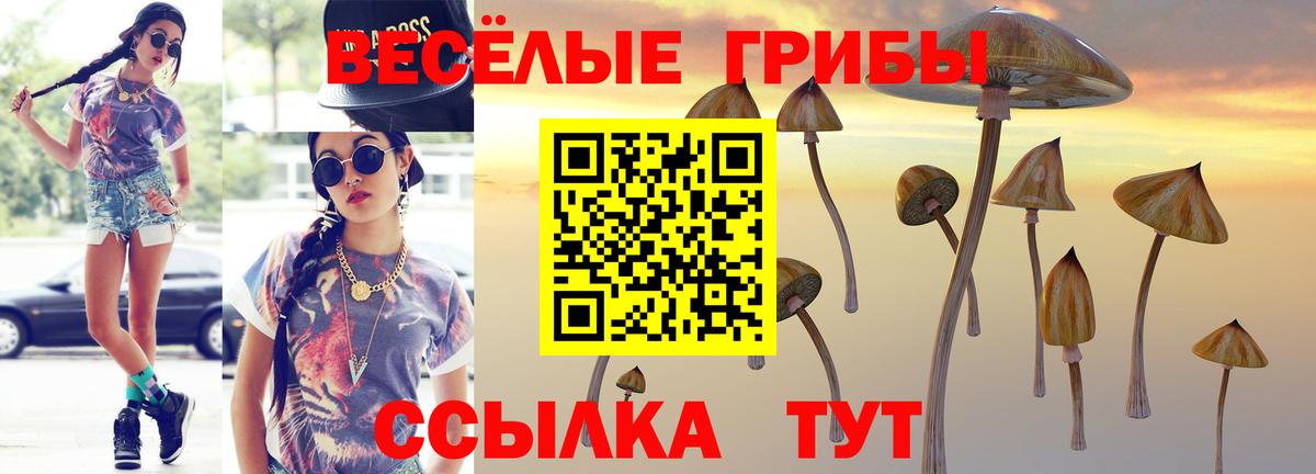 Миасс  Галлюциногенные грибы мухоморы  Галлюциногенные грибы Psilocybine cubensis  Вход с VPN 